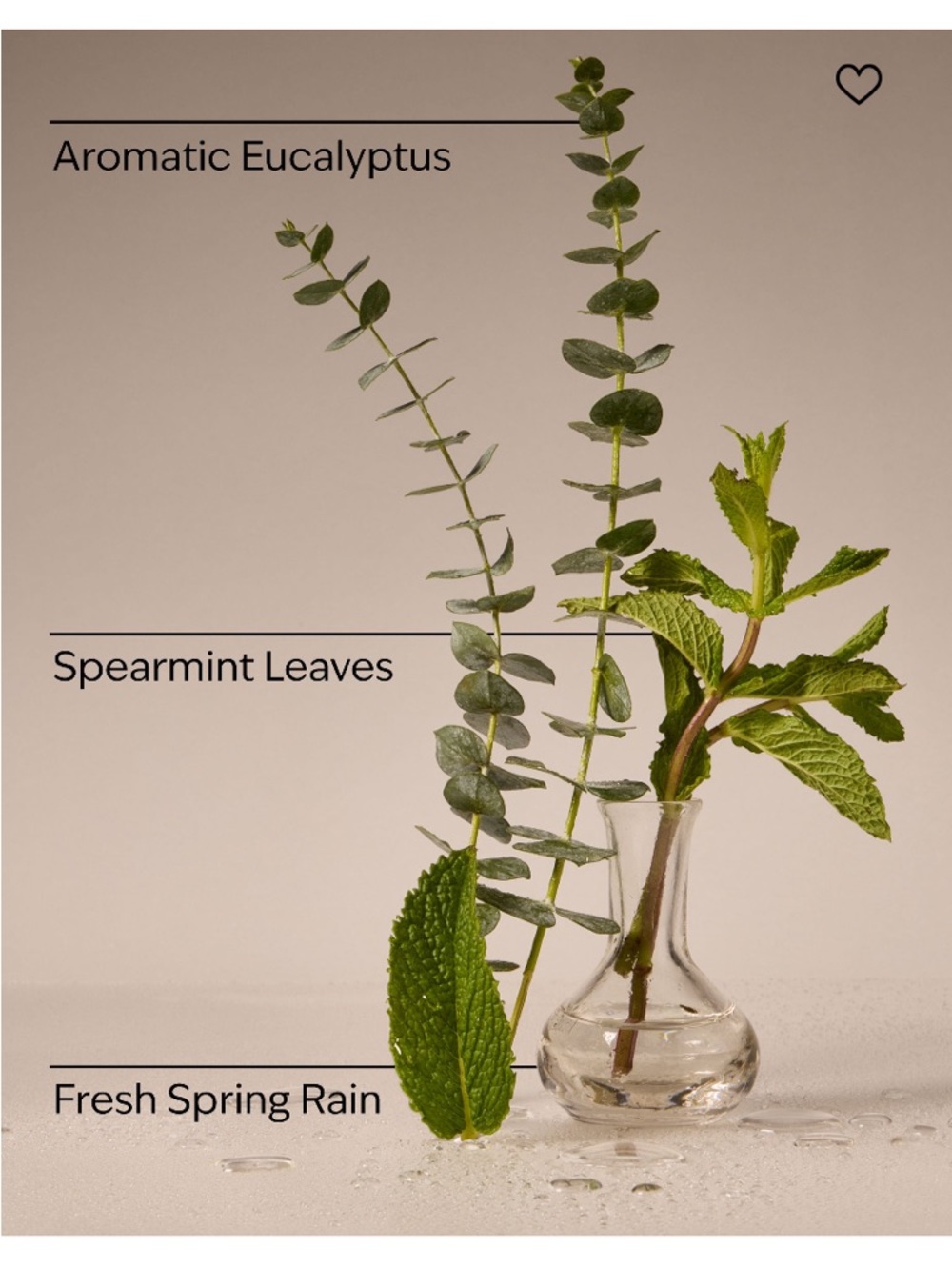 2) EUCALYPTUS RAIN Concentrated Room Sprays, each 1.5 oz / 42.5 g, B&BW/WB, NWT - Picture 3 of 8